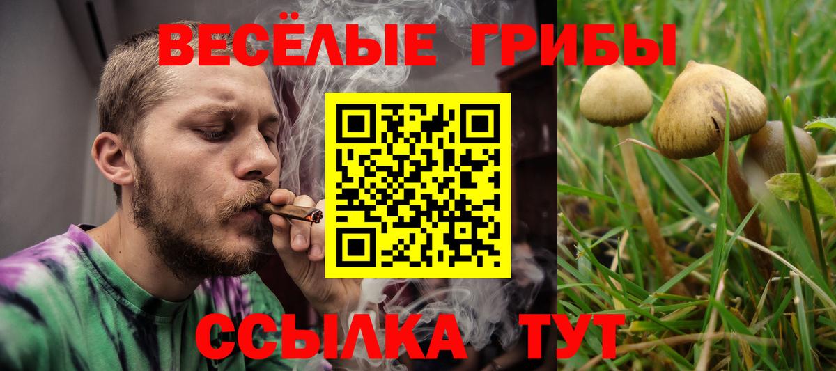 Галлюциногенные грибы мицелий Ачинск