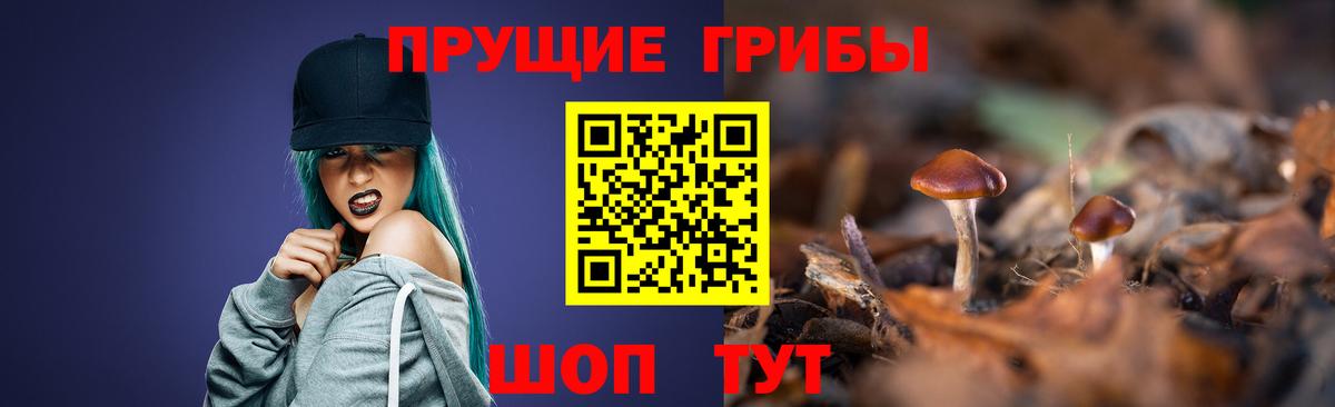 дарнет шоп  Псилоцибиновые грибы Psilocybe  Вход с VPN  Ачинск  Галлюциногенные грибы MAGIC MUSHROOMS 